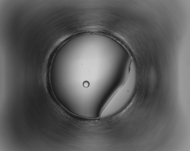 X0000094371410200711162101