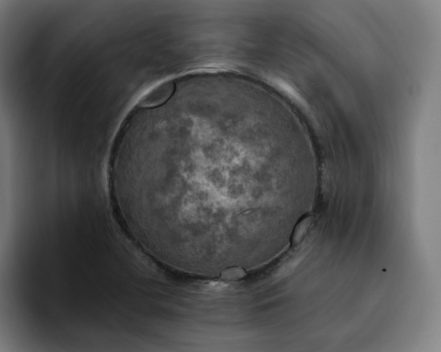 X0000094371412200711162101