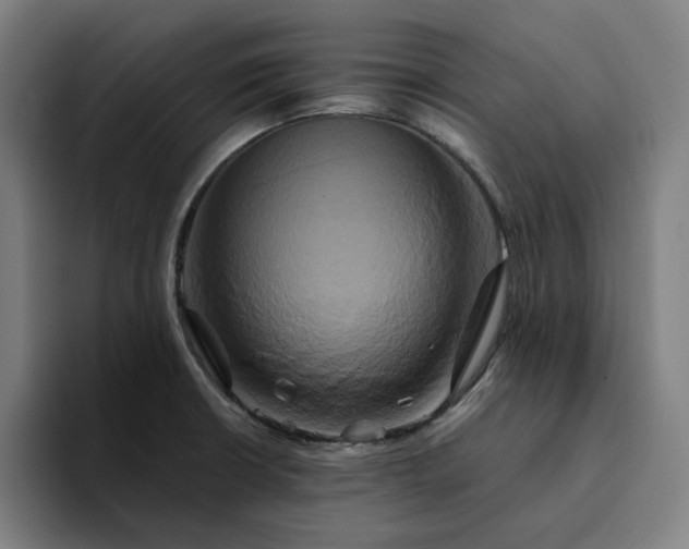 X0000094371426200711162101