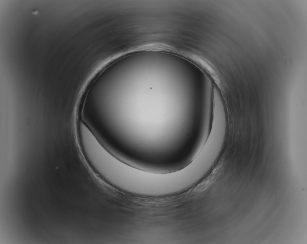 X0000094371430200711162102