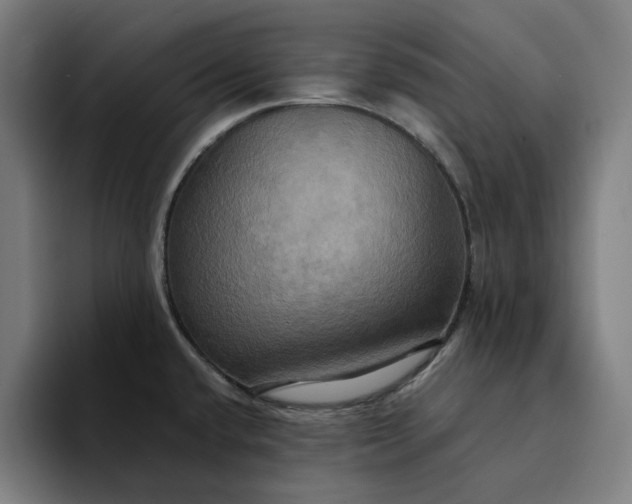 X0000094371432200711162102
