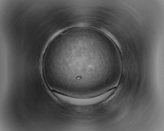 X0000094371437200711162102