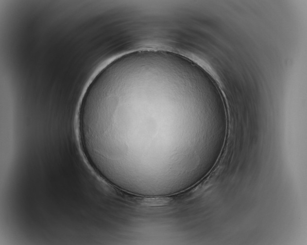 X0000094371440200711162102