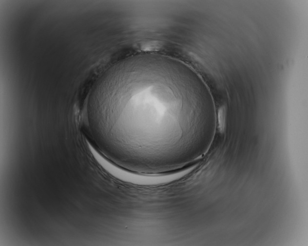 X0000094371443200711162101