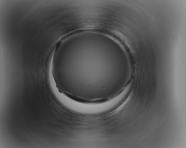 X0000094371449200711162101