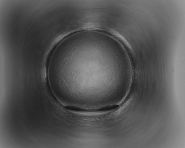 X0000094371461200711162101
