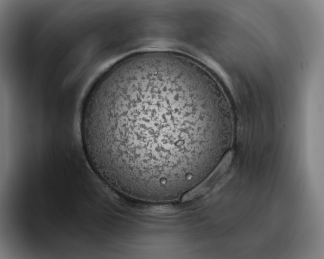 X0000094371464200711162101