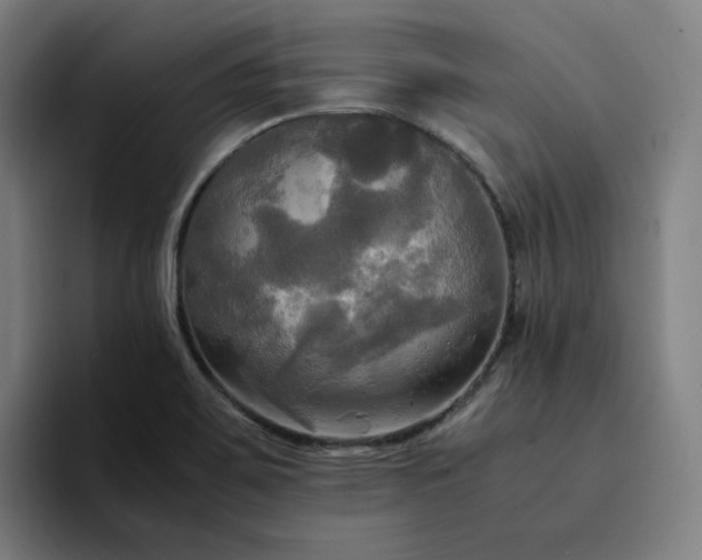 X0000094371467200711162101
