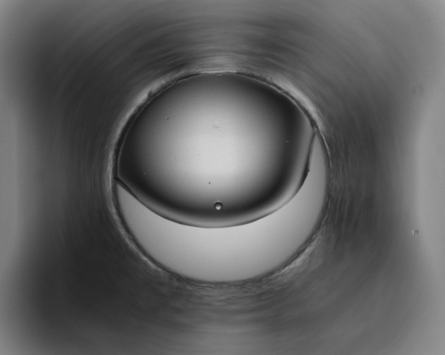 X0000094371477200711162101