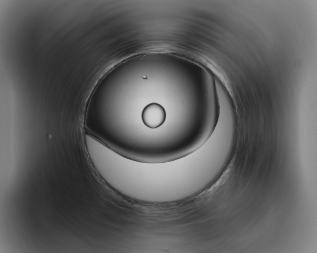 X0000094371481200711162100