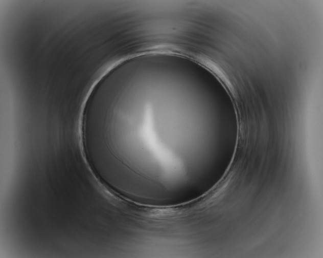 X0000094371482200711162100