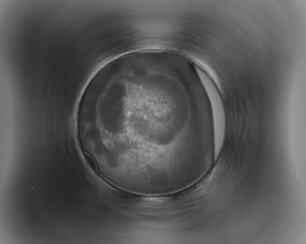 X0000094371483200711162100
