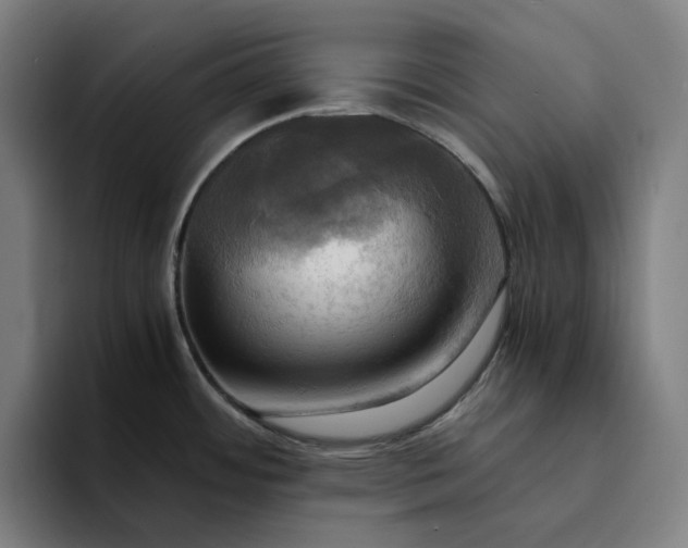 X0000094371484200711162100