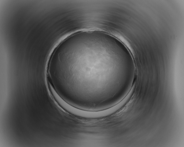 X0000094371485200711162100