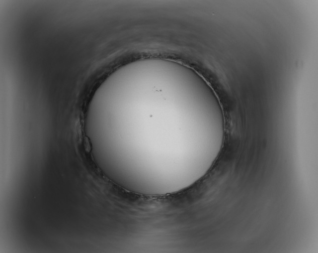 X0000094371493200711162100
