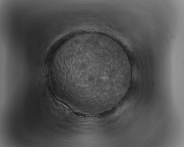 X0000094371494200711162100
