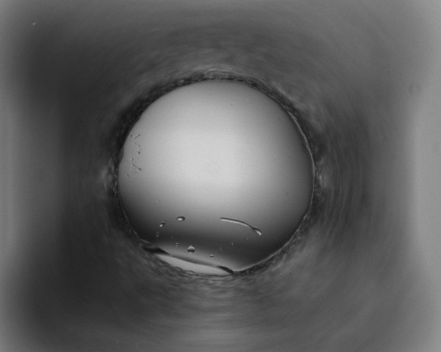 X0000094371495200711162100