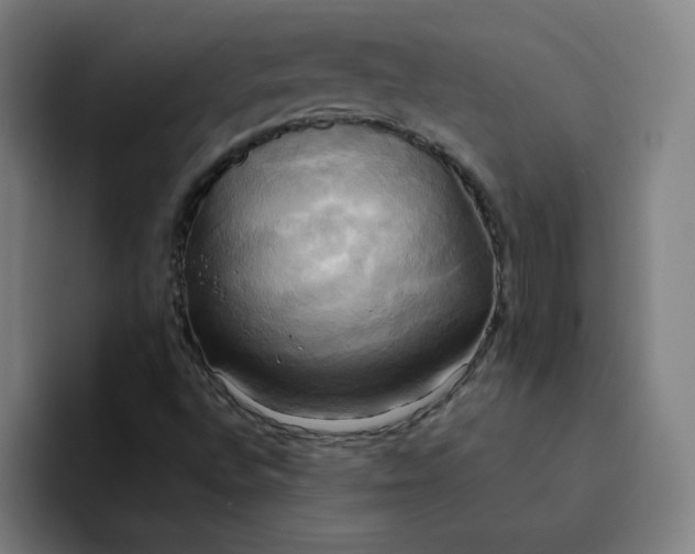 X0000094371496200711162100