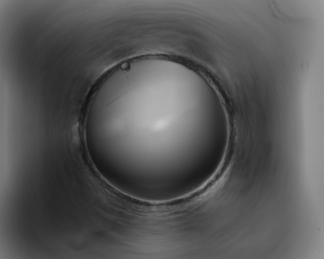 X0000094371497200711162100