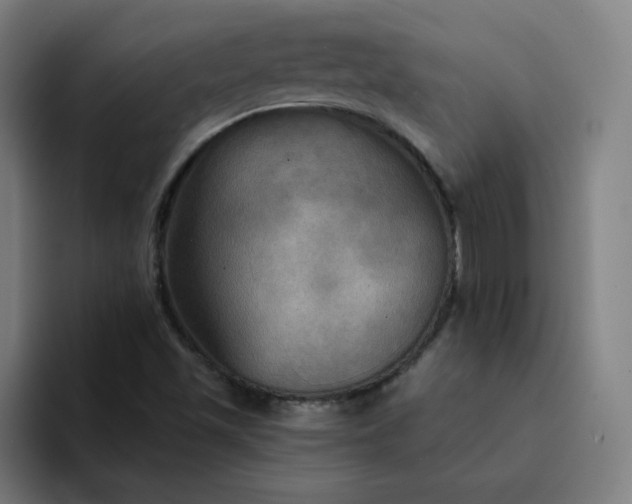 X0000094371501200711162100