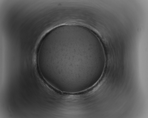 X0000094371506200711162100