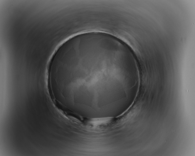X0000094371508200711162100