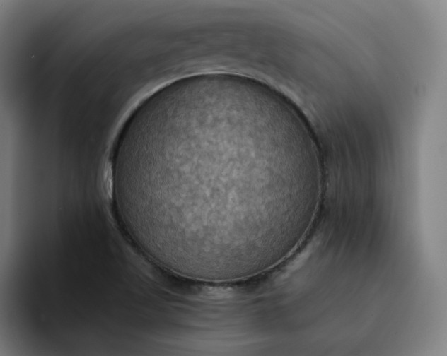 X0000094371509200711162100
