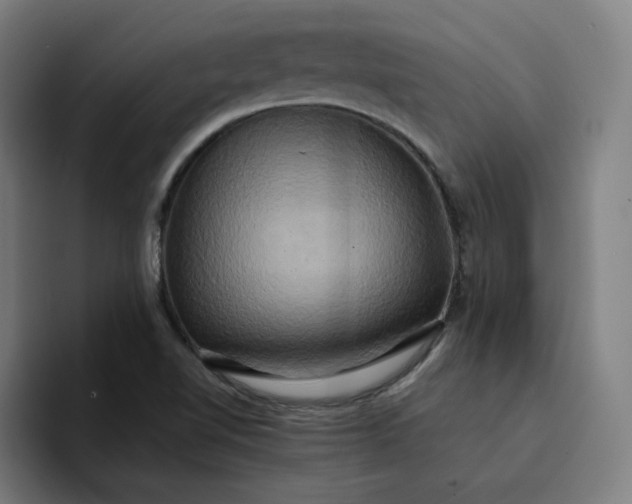 X0000094371510200711162100