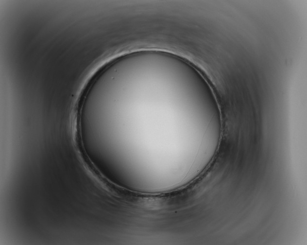 X0000094371511200711162100