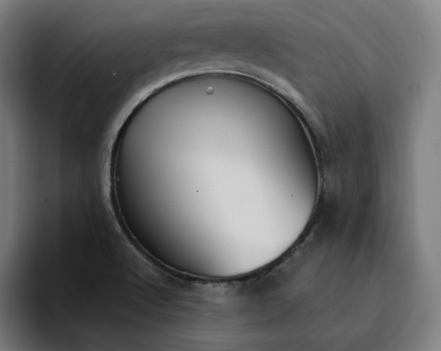X0000094371512200711162100