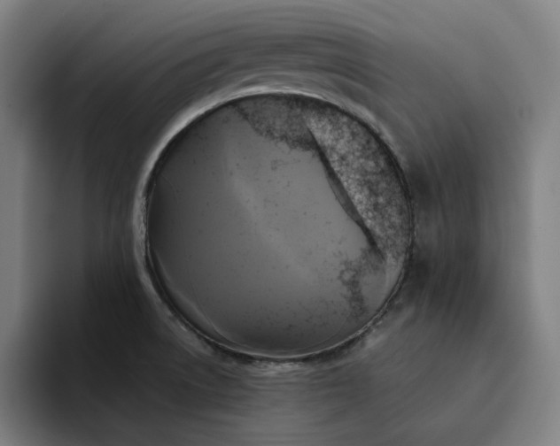 X0000094371522200711162100