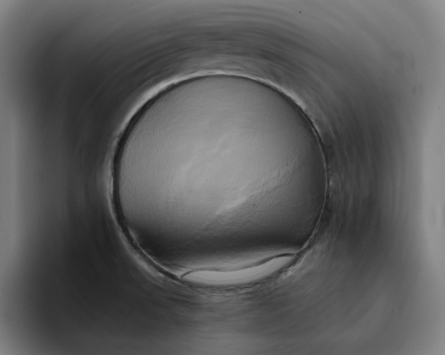 X0000094371523200711162100