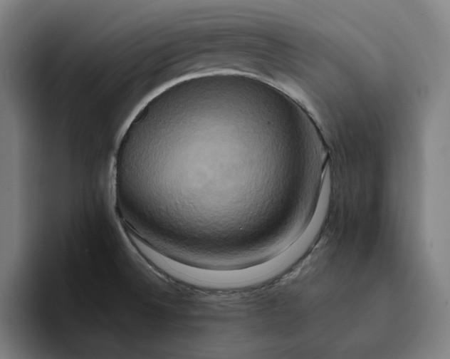 X0000094371524200711162100