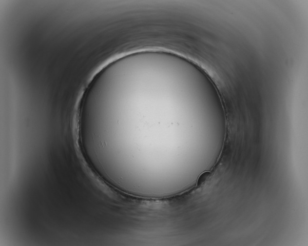 X0000094371526200711162100