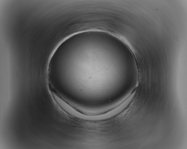 X0000094371532200711162100