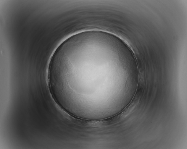X0000094371535200711162100
