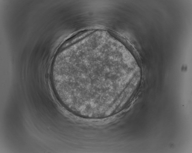 X0000094370001200711242010