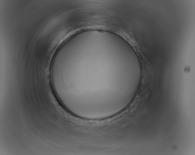 X0000094370002200711242010