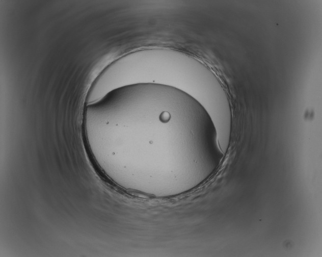 X0000094370003200711242010