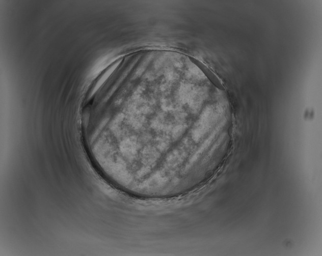 X0000094370005200711242010