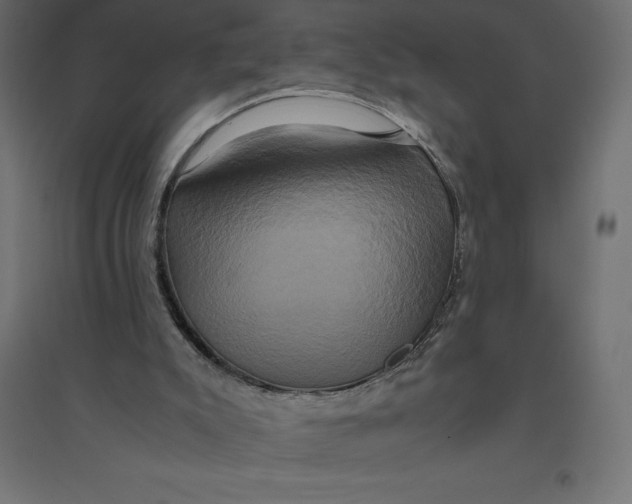 X0000094370007200711242010