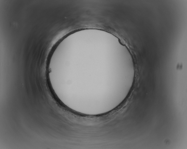 X0000094370008200711242010