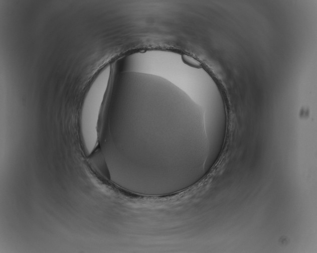 X0000094370009200711242010