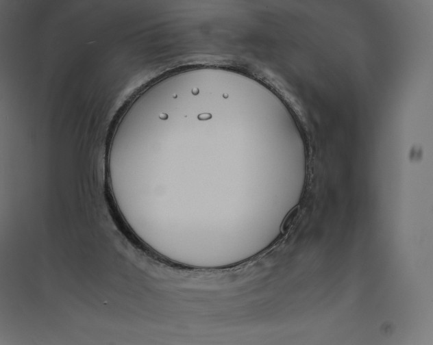 X0000094370011200711242010