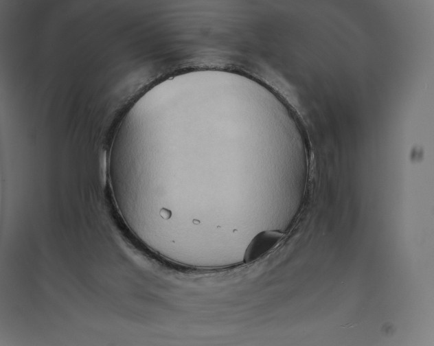 X0000094370013200711242010