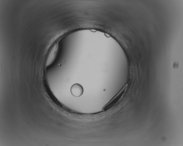 X0000094370015200711242010