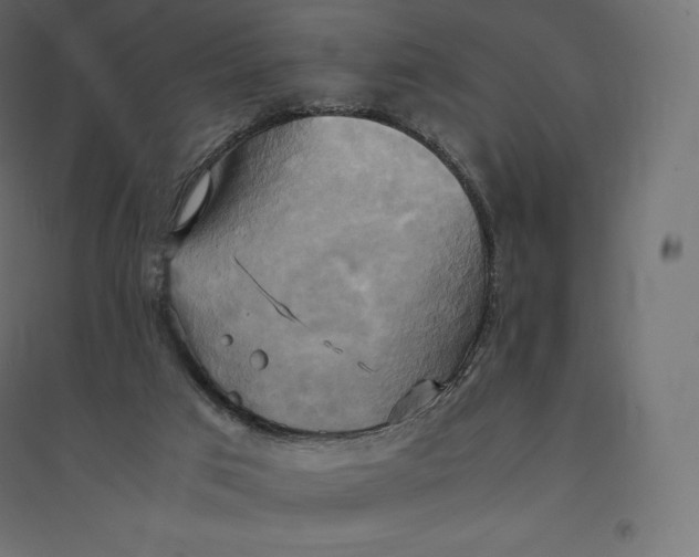 X0000094370017200711242010