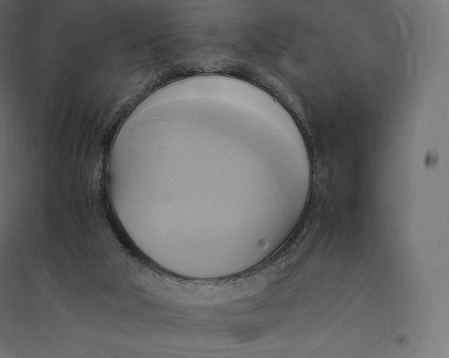 X0000094370018200711242010