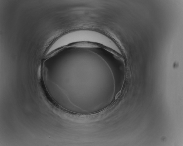 X0000094370019200711242010