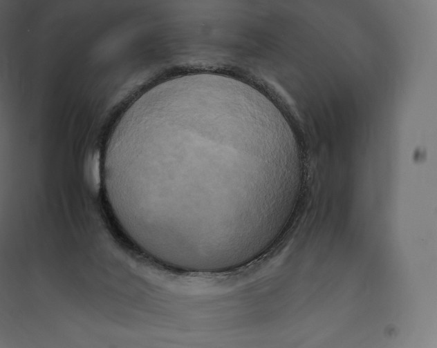 X0000094370020200711242010